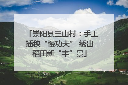 崇阳县三山村：手工插秧“慢功夫” 绣出稻田新“丰”景