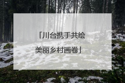 川台携手共绘美丽乡村画卷
