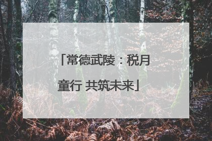 常德武陵：税月童行 共筑未来
