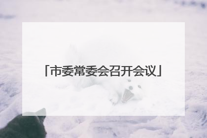 市委常委会召开会议