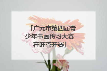 广元市第四届青少年书画传习大赛在旺苍开赛