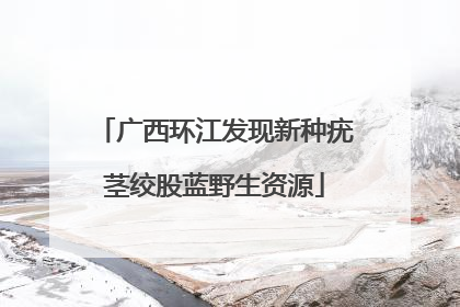 广西环江发现新种疣茎绞股蓝野生资源