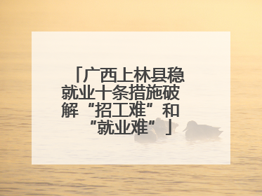 广西上林县稳就业十条措施破解“招工难”和“就业难”