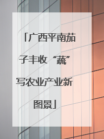 广西平南茄子丰收“蔬”写农业产业新图景