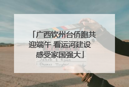 广西钦州台侨胞共迎端午 看运河建设感受家国强大
