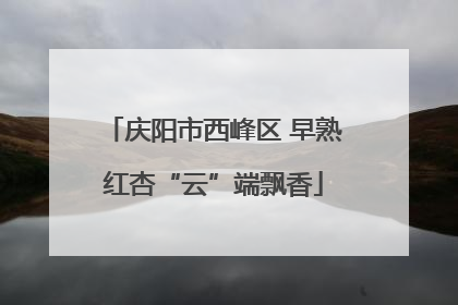 庆阳市西峰区 早熟红杏“云”端飘香