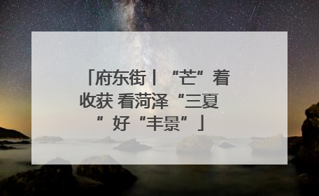 府东街丨“芒”着收获 看菏泽“三夏”好“丰景”