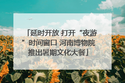延时开放 打开“夜游”时间窗口 河南博物院推出暑期文化大餐