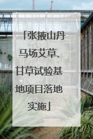 张掖山丹马场艾草、甘草试验基地项目落地实施