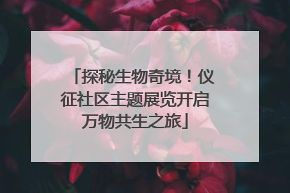 探秘生物奇境！仪征社区主题展览开启万物共生之旅