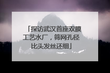 探访武汉首座双膜工艺水厂，筛网孔径比头发丝还细