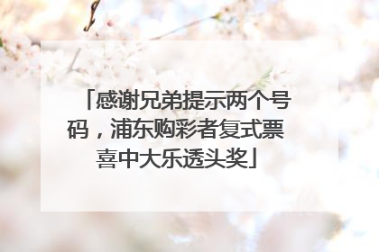 感谢兄弟提示两个号码，浦东购彩者复式票喜中大乐透头奖