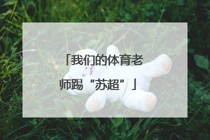 我们的体育老师踢“苏超”