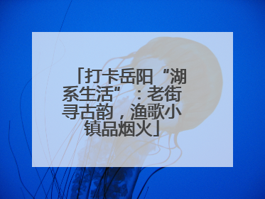 打卡岳阳“湖系生活”：老街寻古韵，渔歌小镇品烟火