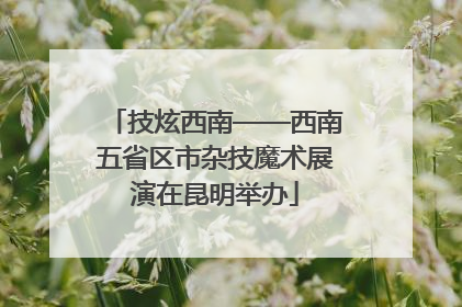 技炫西南——西南五省区市杂技魔术展演在昆明举办