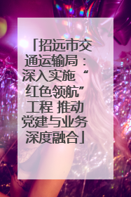 招远市交通运输局：深入实施“红色领航”工程 推动党建与业务深度融合