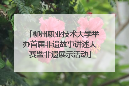 柳州职业技术大学举办首届非遗故事讲述大赛暨非遗展示活动
