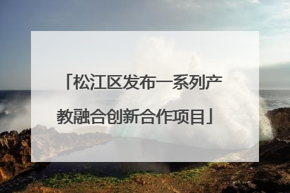松江区发布一系列产教融合创新合作项目