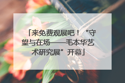 来免费观展吧！“守望与在场——毛本华艺术研究展”开幕