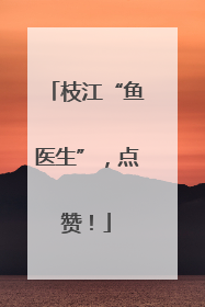 枝江“鱼医生”，点赞！