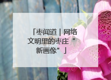 枣闻道｜网络文明里的枣庄“新画像”