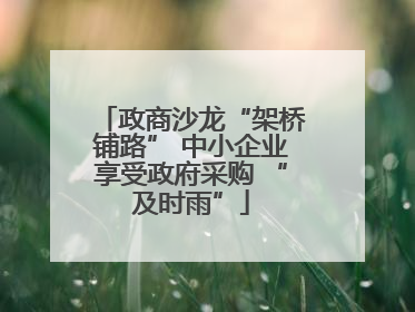 政商沙龙“架桥铺路” 中小企业享受政府采购 “及时雨”