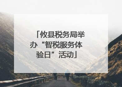 攸县税务局举办“智税服务体验日”活动