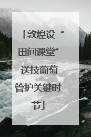敦煌设“田间课堂” 送技葡萄管护关键时节