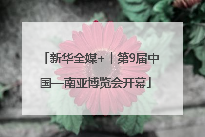 新华全媒+丨第9届中国—南亚博览会开幕