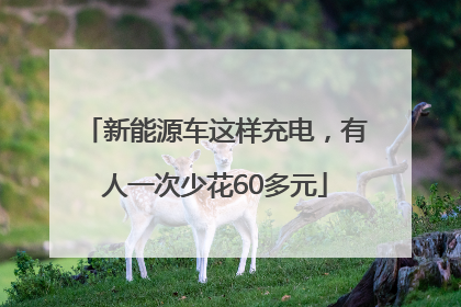 新能源车这样充电，有人一次少花60多元