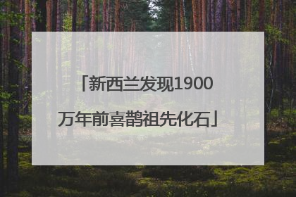 新西兰发现1900万年前喜鹊祖先化石