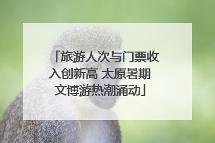 旅游人次与门票收入创新高 太原暑期文博游热潮涌动