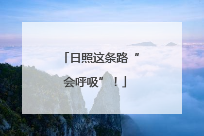 日照这条路“会呼吸”！