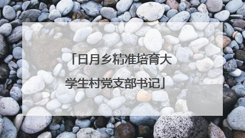 日月乡精准培育大学生村党支部书记
