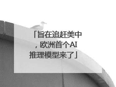 旨在追赶美中，欧洲首个AI推理模型来了