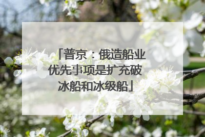 普京：俄造船业优先事项是扩充破冰船和冰级船