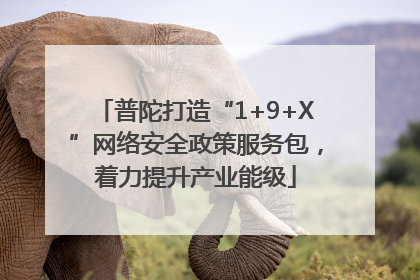 普陀打造“1+9+X”网络安全政策服务包，着力提升产业能级
