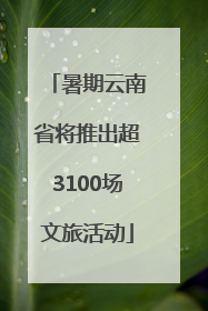 暑期云南省将推出超3100场文旅活动