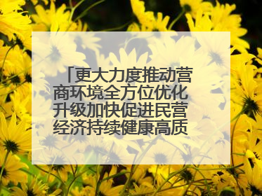 更大力度推动营商环境全方位优化升级加快促进民营经济持续健康高质量发展