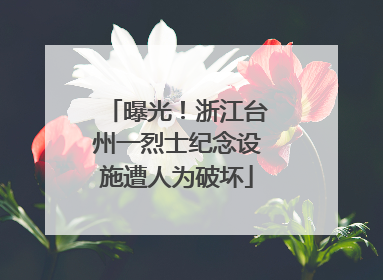 曝光！浙江台州一烈士纪念设施遭人为破坏