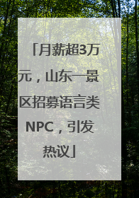 月薪超3万元，山东一景区招募语言类NPC，引发热议