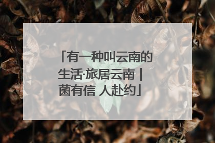 有一种叫云南的生活·旅居云南｜菌有信 人赴约