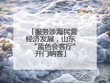 服务涉海民营经济发展，山东“蓝色会客厅”开门纳客