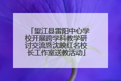 望江县雷阳中心学校开展跨学科教学研讨交流暨沈映红名校长工作室送教活动