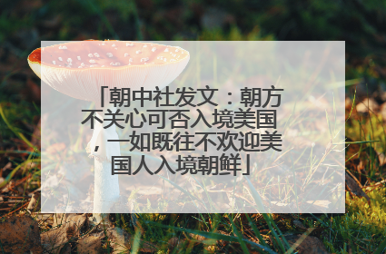 朝中社发文：朝方不关心可否入境美国，一如既往不欢迎美国人入境朝鲜