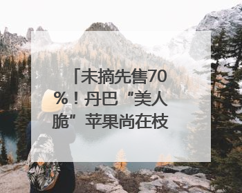 未摘先售70%！丹巴“美人脆”苹果尚在枝头就被预订｜长征路上看四川