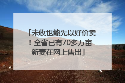 未收也能先以好价卖！全省已有70多万亩新麦在网上售出