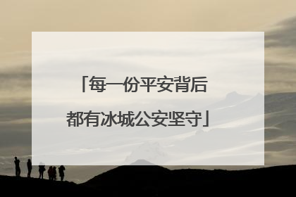 每一份平安背后 都有冰城公安坚守