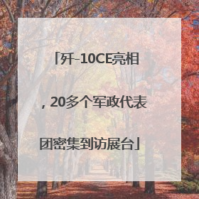 歼-10CE亮相，20多个军政代表团密集到访展台