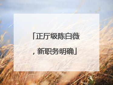 正厅级陈白薇，新职务明确